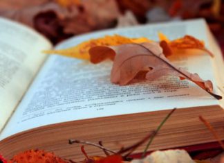 Ekim’de Çıkan Kitaplar