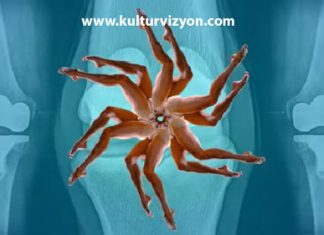 İKSV ile Sanat için Seve Seve
