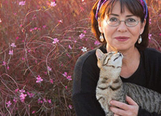 İlkay Akkaya Kocaeli Konseri İlkay Akkaya Kocaeli Konseri