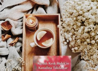 Kanadı Kırık Bir Meleğin Kalbinden Dökülenler