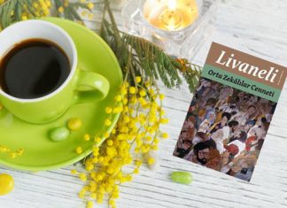 Zülfü Livaneli’den Orta Zekalılar Cenneti Zülfü Livaneli'den Orta Zekalılar Cenneti