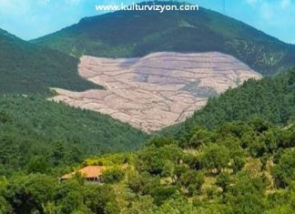 Kaz Dağları Yok Oluyor! Kaz Dağları Yok Oluyor!