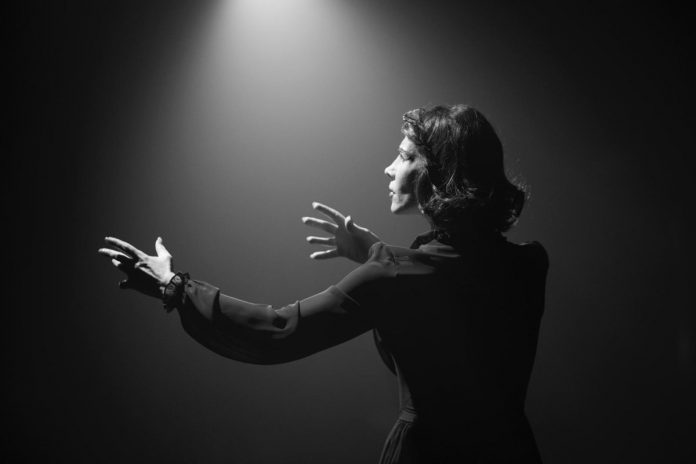 Kaldırım Serçesi İstanbul'da