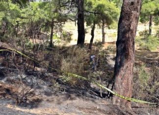 Ormandaki Ceset Bir CHP’liye Ait