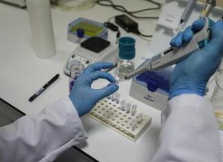 Yerli Coronavirus Aşısı İçinDeneylere Başlandı