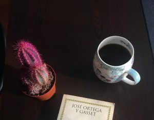 José Ortega y Gasset Kitlelerin Ayaklanması José Ortega y Gasset Kitlelerin Ayaklanması