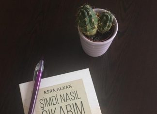 Şimdi Nasıl Çıkarım Bu İşin İçinden Kitabı Çıktı