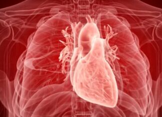 İnsan Kalbinde ‘Bumerang Şeklinde Kemik’ Keşfedildi